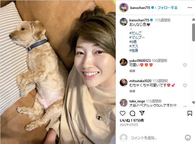 狩野舞子と犬