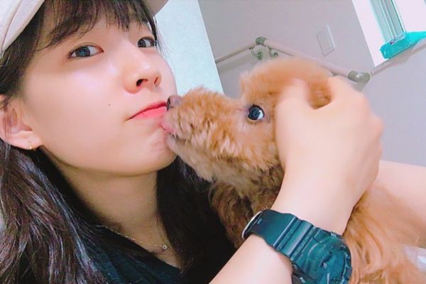 江村美咲と犬